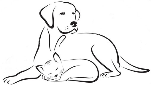Patientenportal für Hund und Katze der Kleintierpraxis Ochshausen - Claudia Handley - in Lohfelden bei Kassel